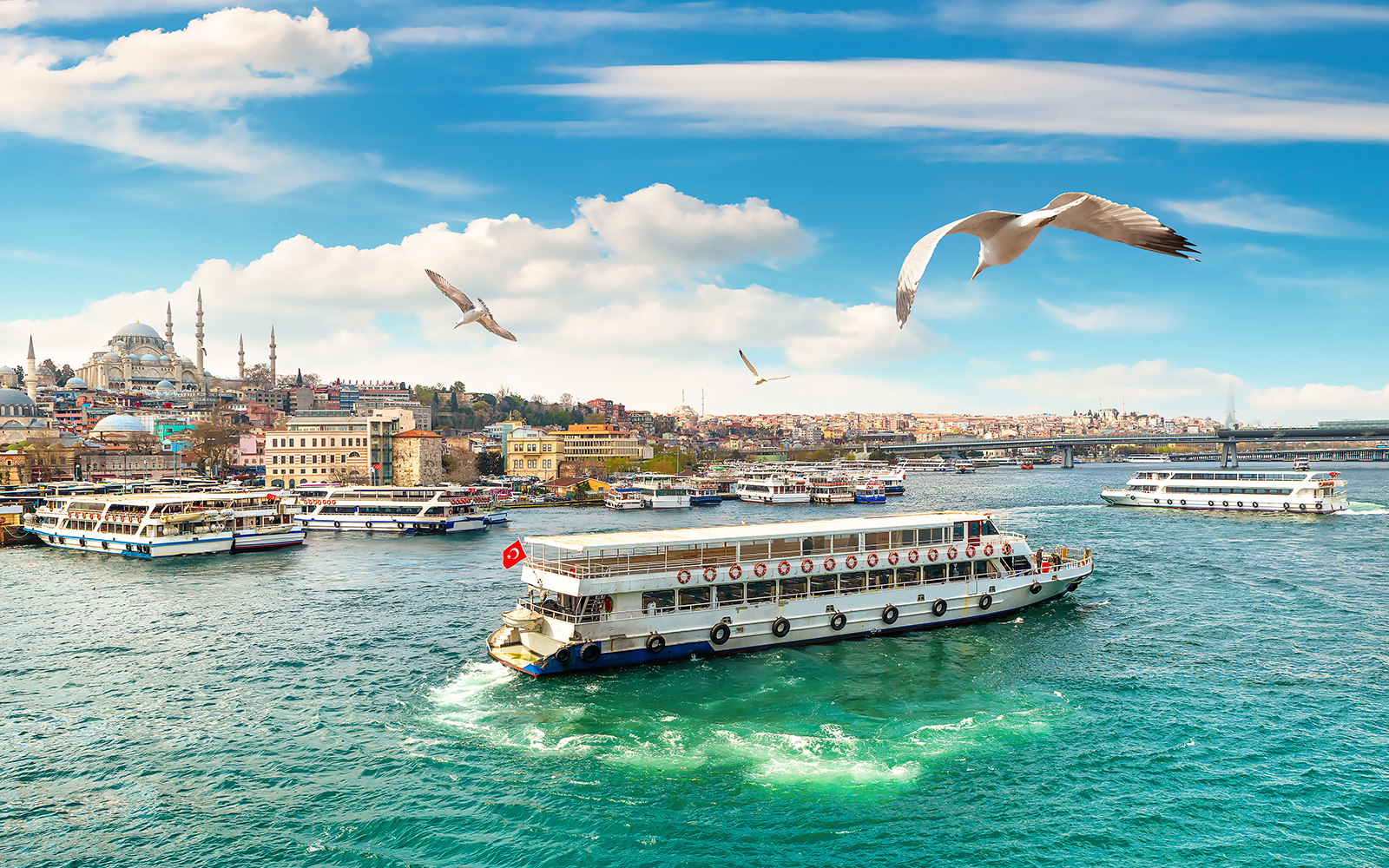 Bosphorus Cruises