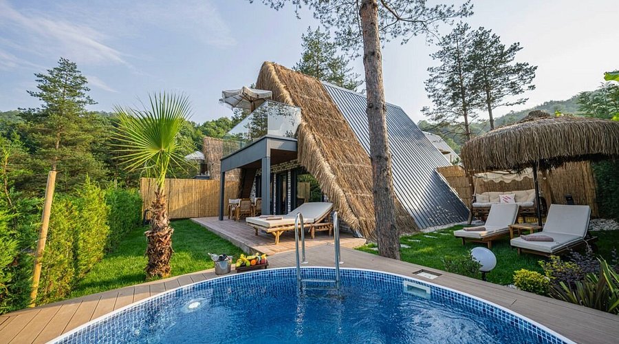 Private Family Villa — Sapanca (per night)